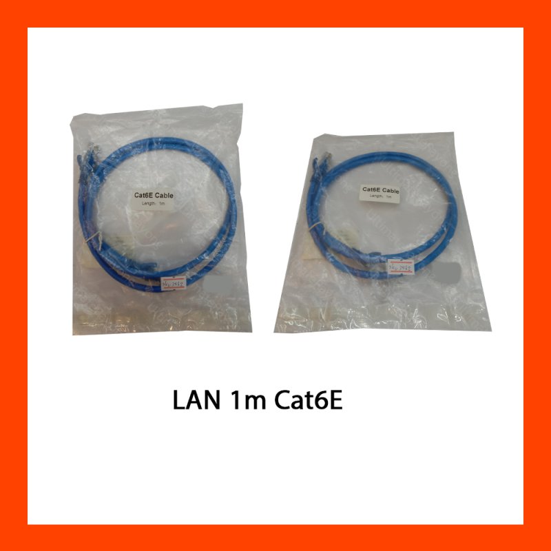 LAN 1m Cat6E