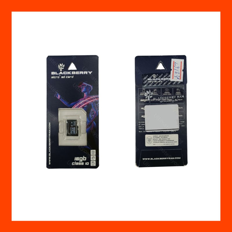 Micro SD Card Blackberry 16GB CL10 (No Adapter)