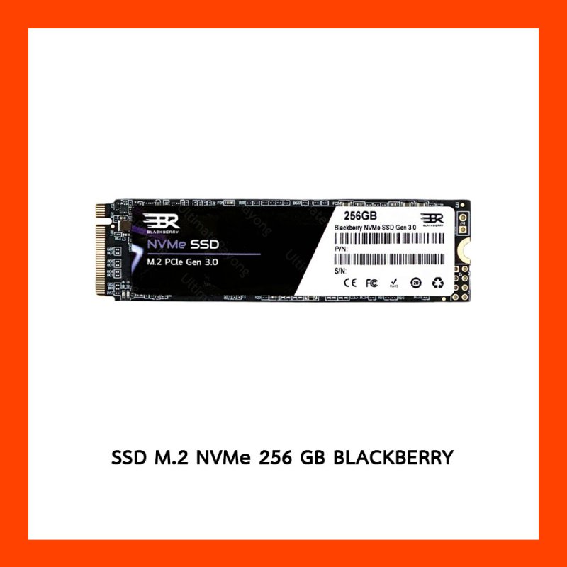 SSD M.2 Nvme 256GB Bleckberry