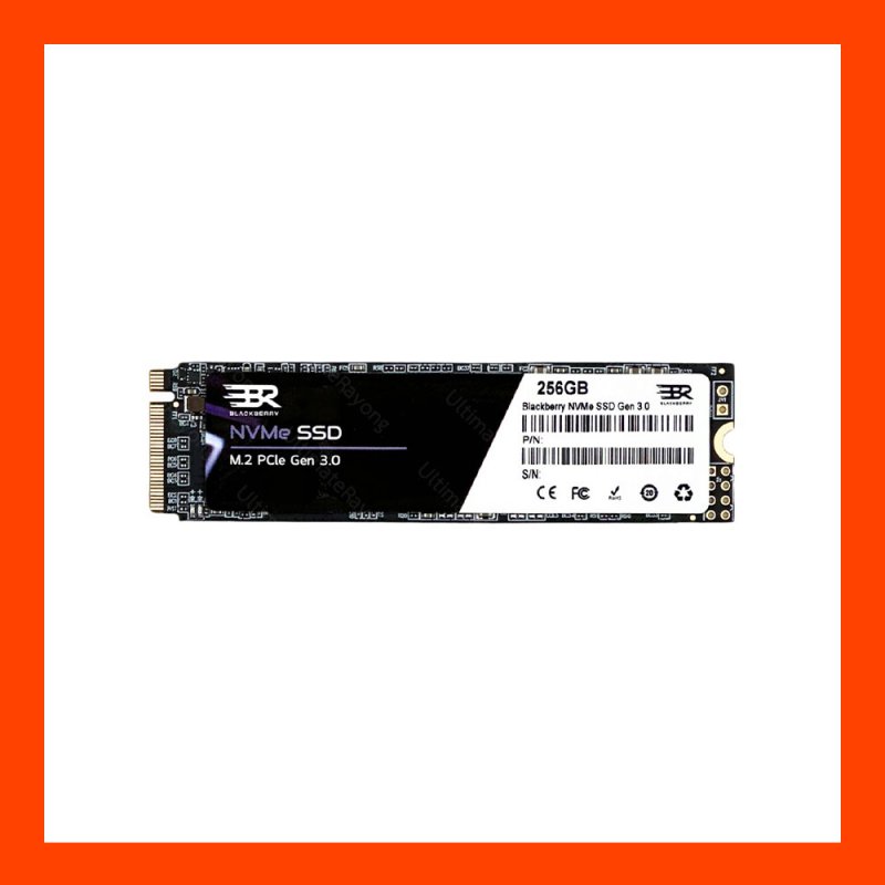 SSD M.2 Nvme 256GB Bleckberry