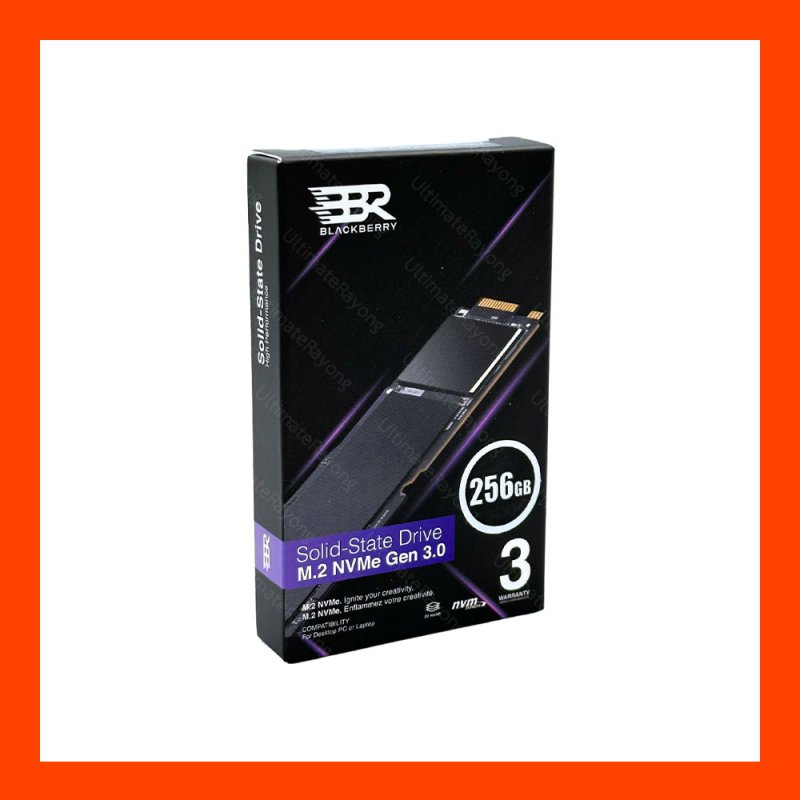 SSD M.2 Nvme 256GB Bleckberry