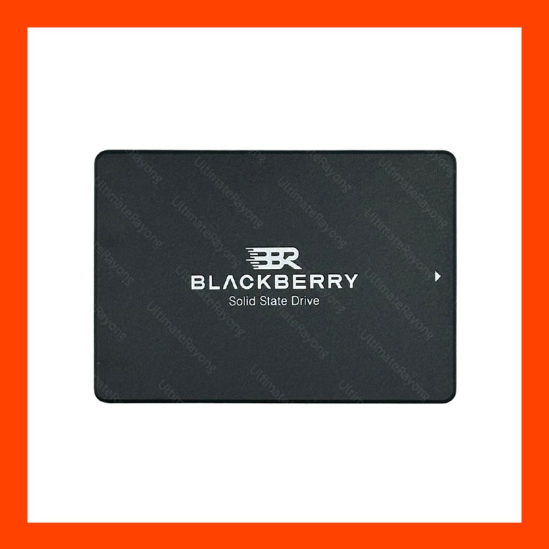 1 TB SSD SATA BLACKBERRY
